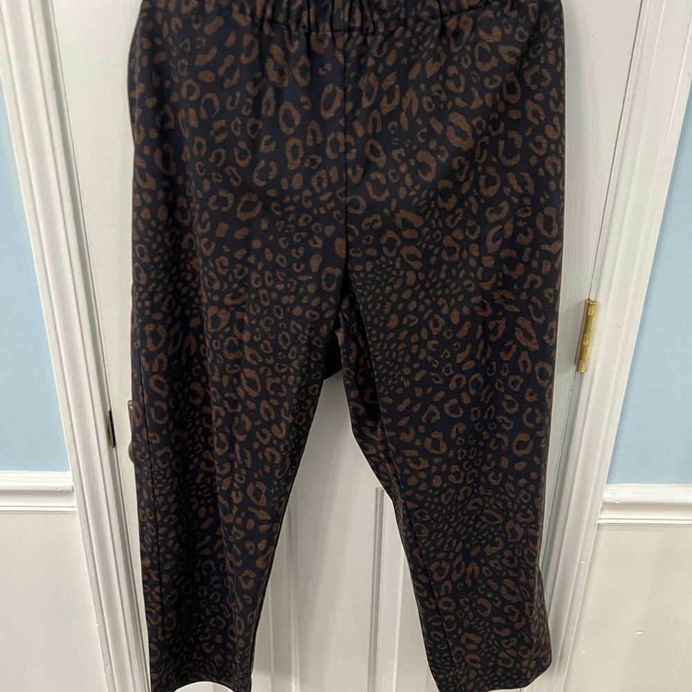 Ann Taylor leopard print pants